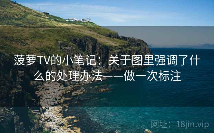 菠萝TV的小笔记：关于图里强调了什么的处理办法——做一次标注